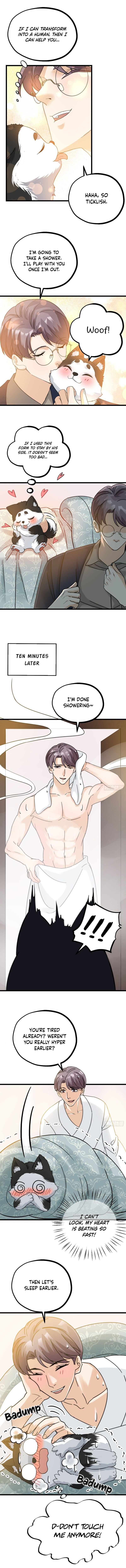 Fu Fu Qing Cheng - Chapter 46: Test