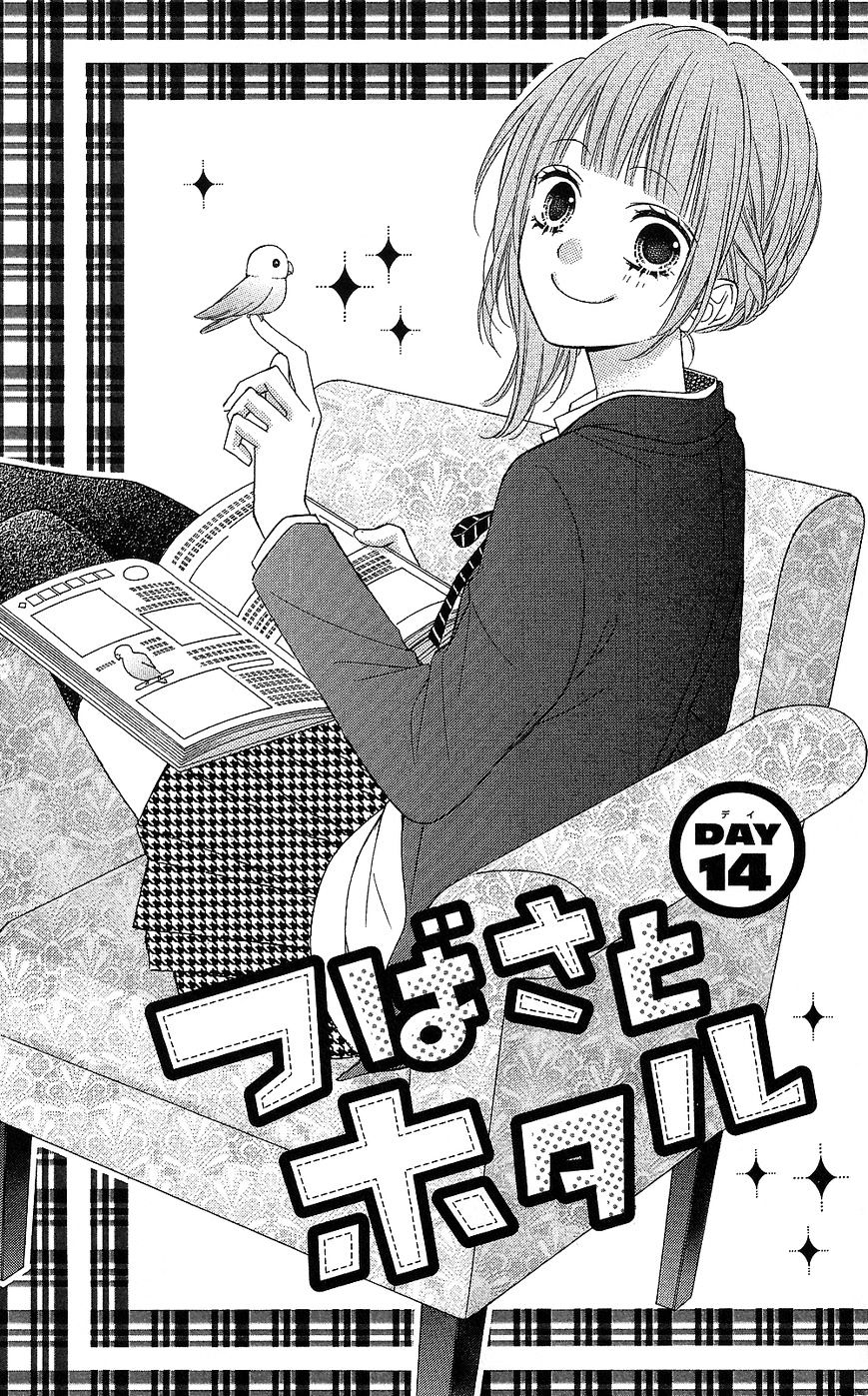 Tsubasa To Hotaru - Chapter 14