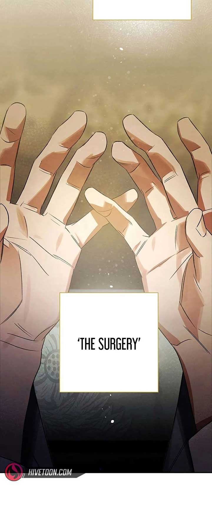 The Black-Haired British Doctor - Chapter 8