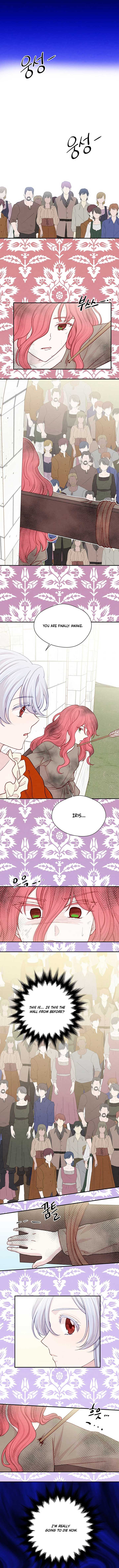 Iris - Lady With A Smartphone - Chapter 137