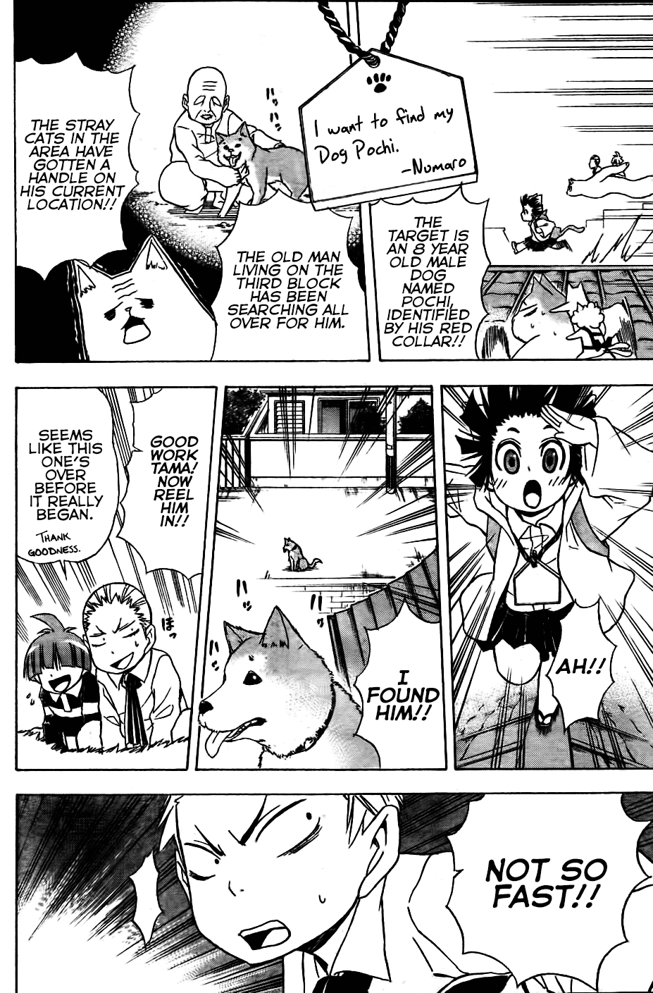 Nekowappa! - Chapter 4: Neko Mata Forest Vs. Kitsunebi Mountain!