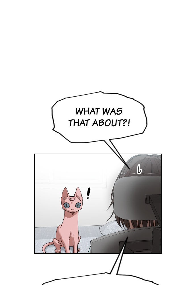 Meow Rangers - Chapter 15