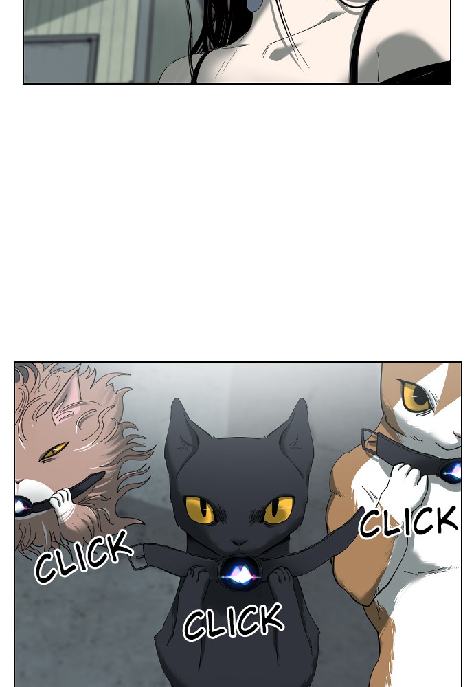 Meow Rangers - Chapter 15