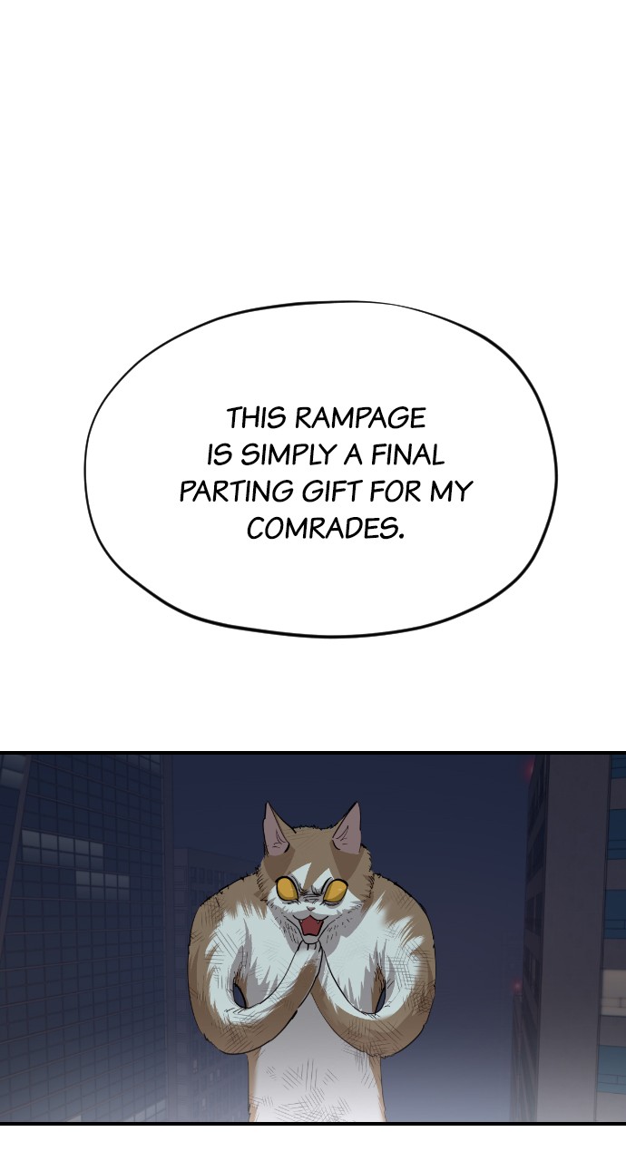 Meow Rangers - Chapter 53