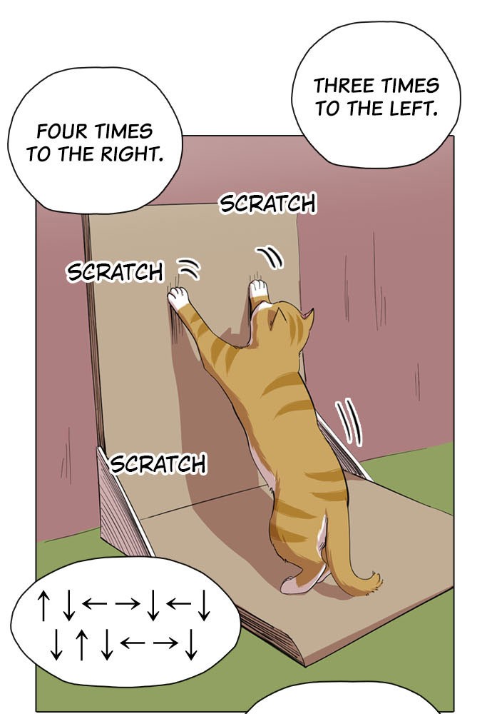 Meow Rangers - Chapter 8