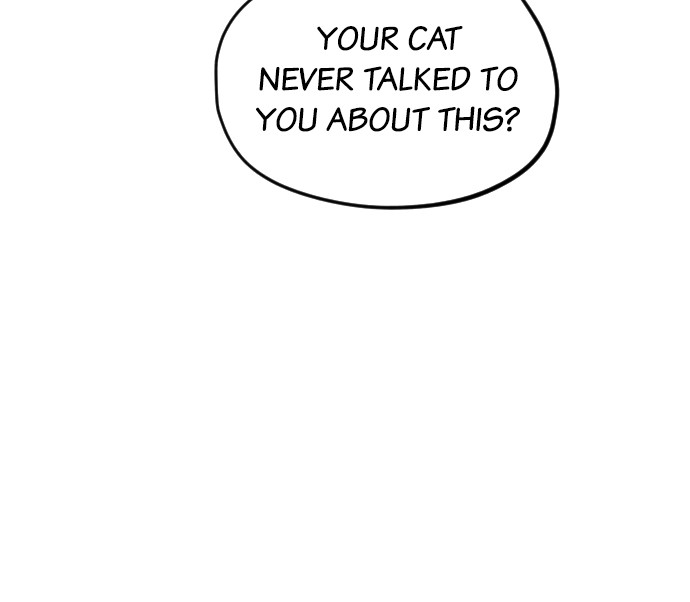 Meow Rangers - Chapter 29