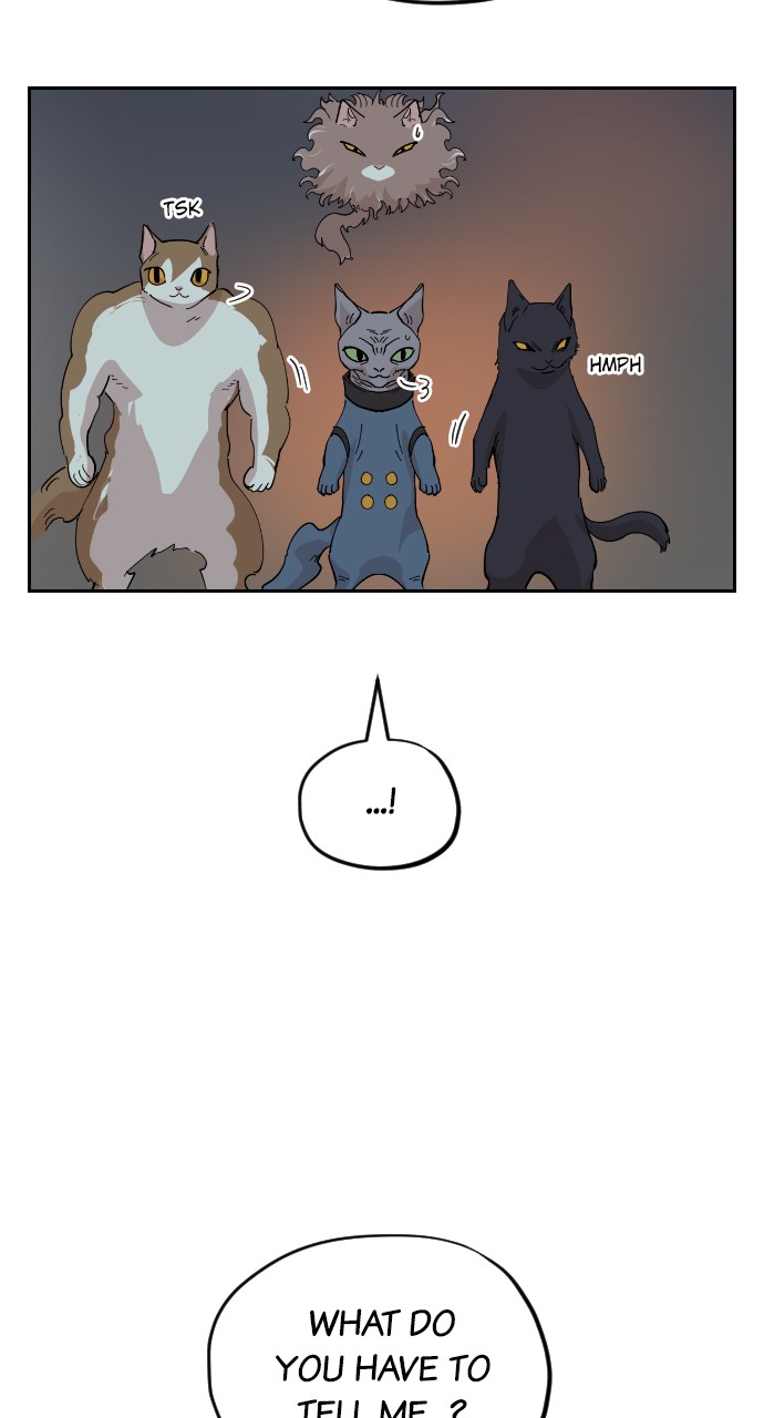 Meow Rangers - Chapter 31