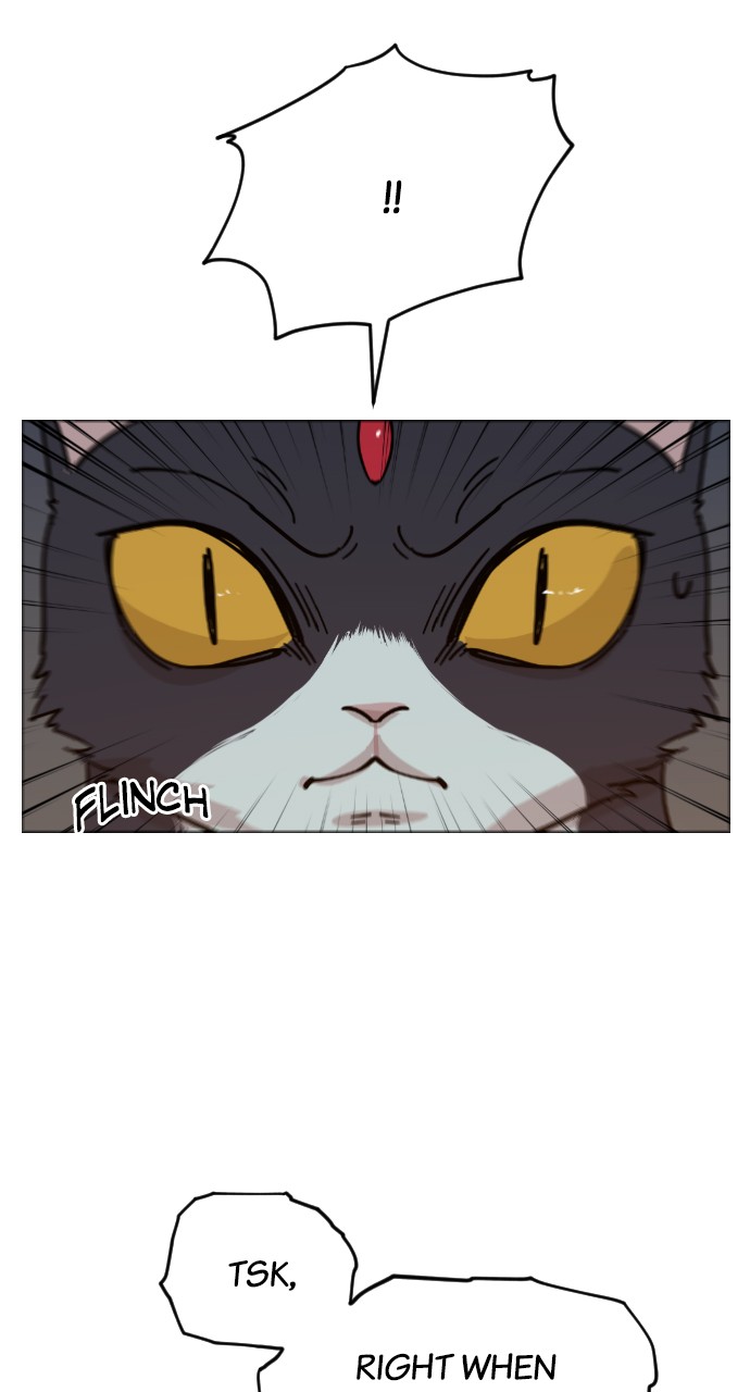 Meow Rangers - Chapter 31