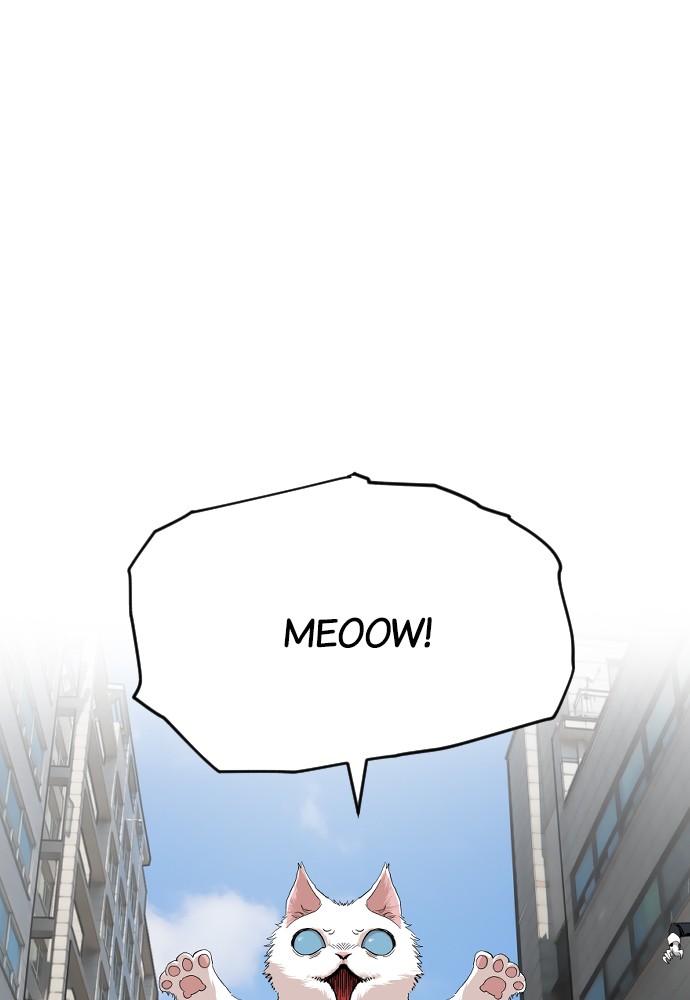 Meow Rangers - Chapter 23