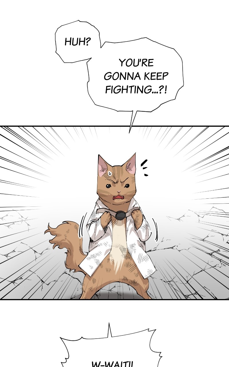 Meow Rangers - Chapter 75