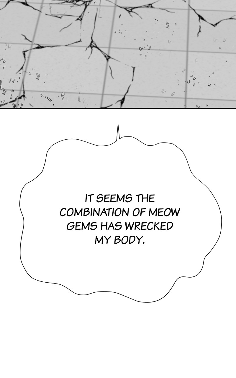 Meow Rangers - Chapter 75