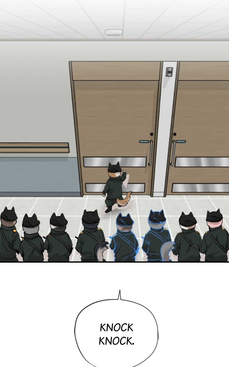 Meow Rangers - Chapter 67