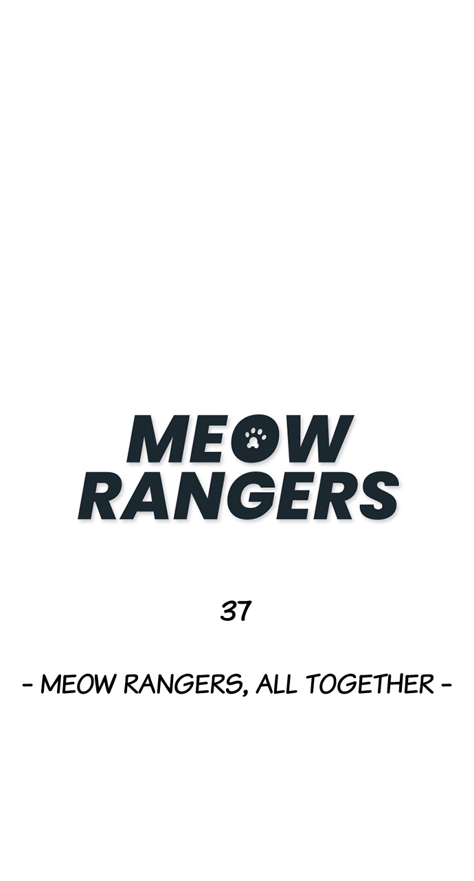 Meow Rangers - Chapter 37