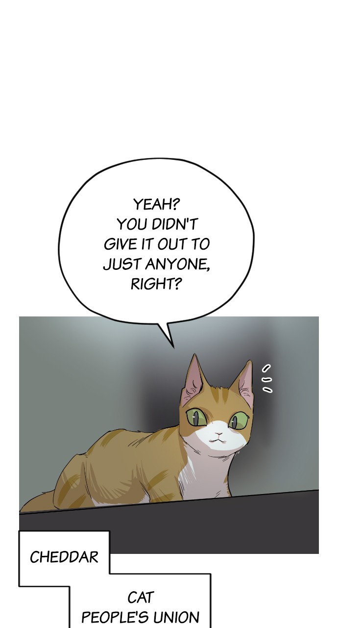 Meow Rangers - Chapter 37