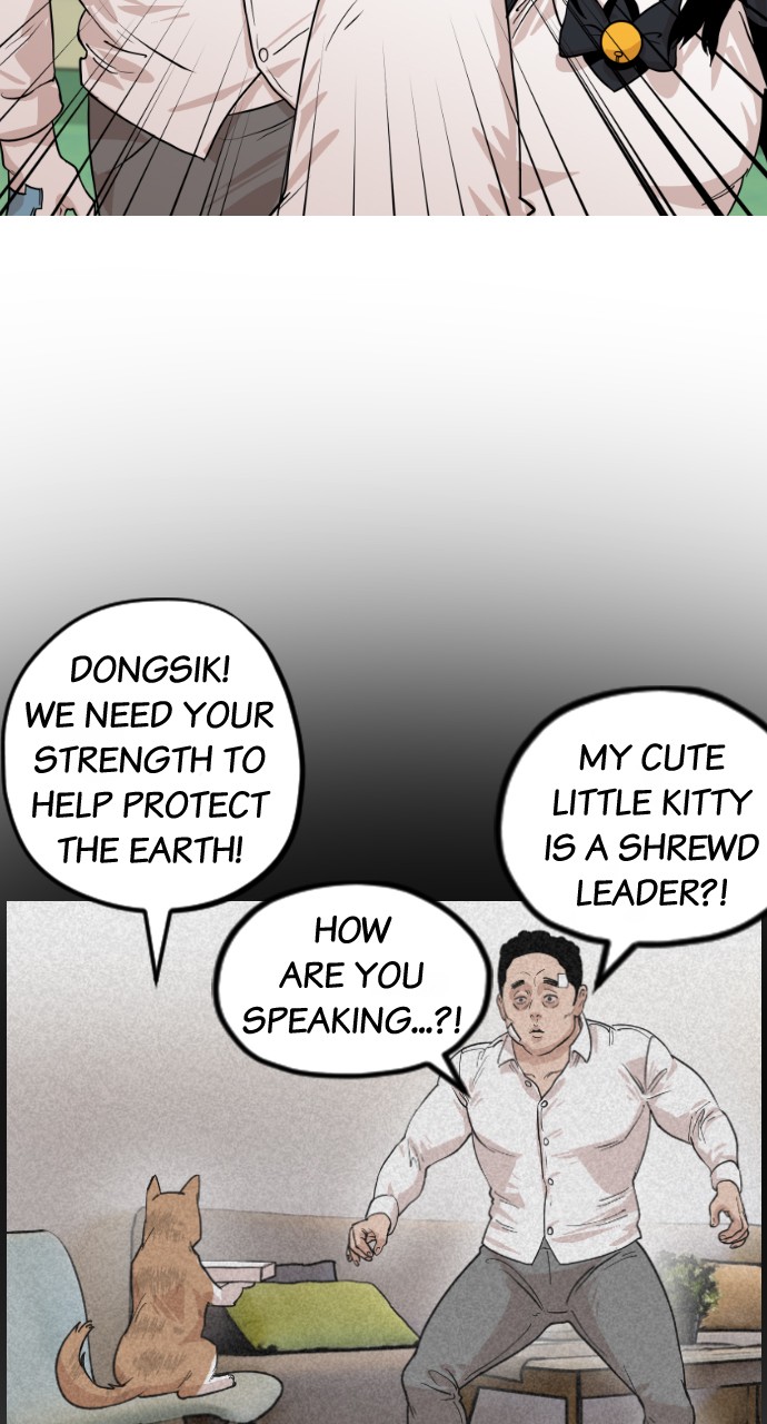 Meow Rangers - Chapter 37