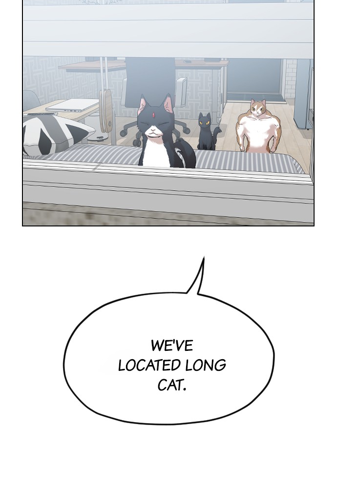 Meow Rangers - Chapter 19