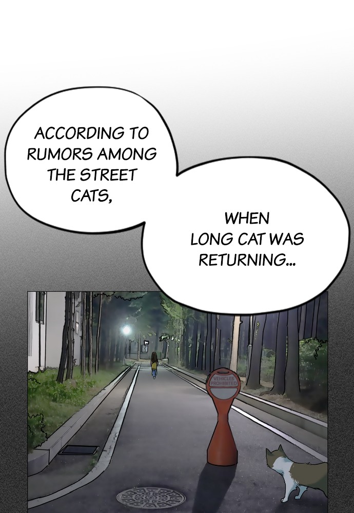 Meow Rangers - Chapter 19