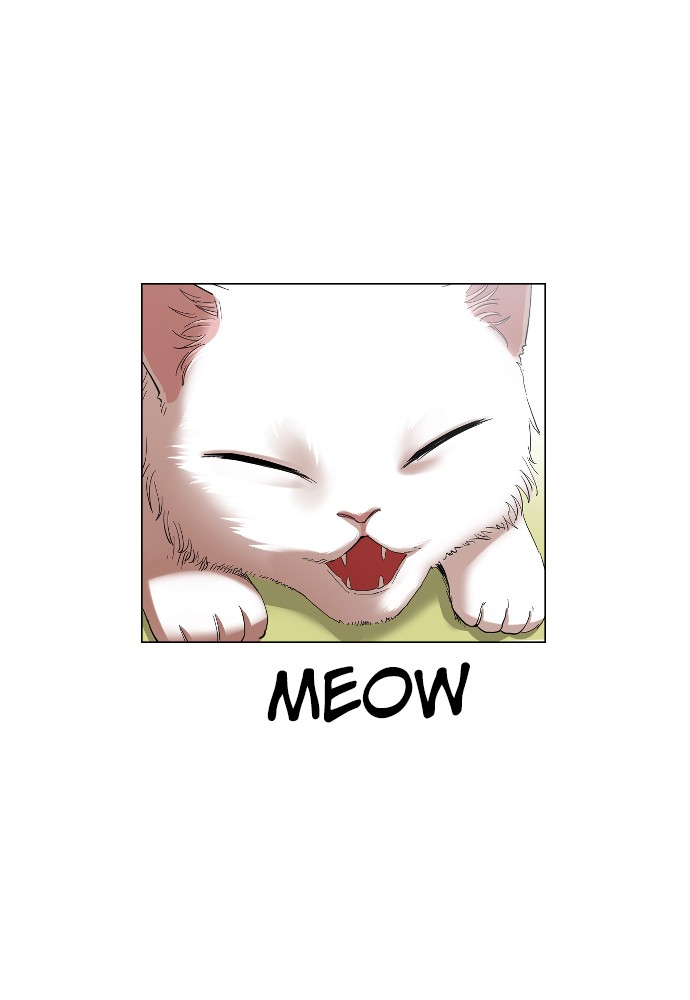 Meow Rangers - Chapter 19