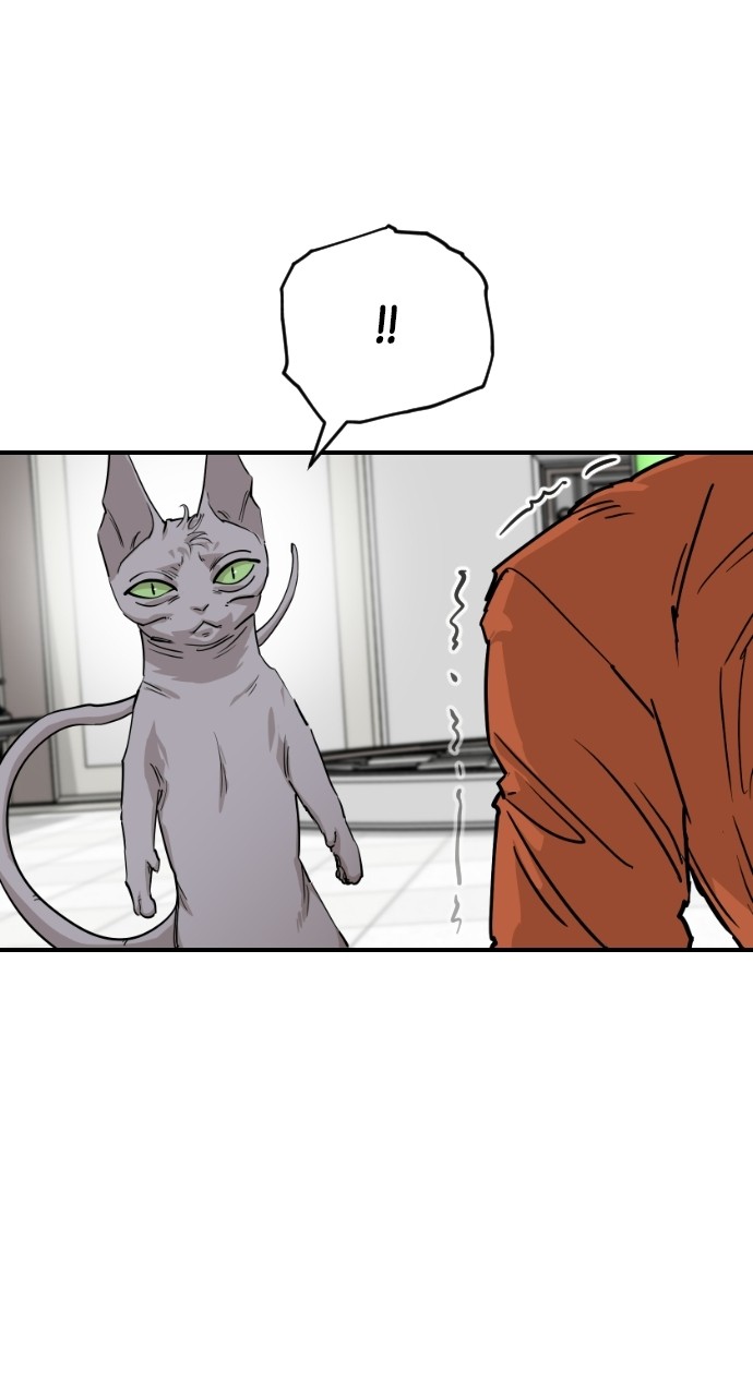 Meow Rangers - Chapter 62