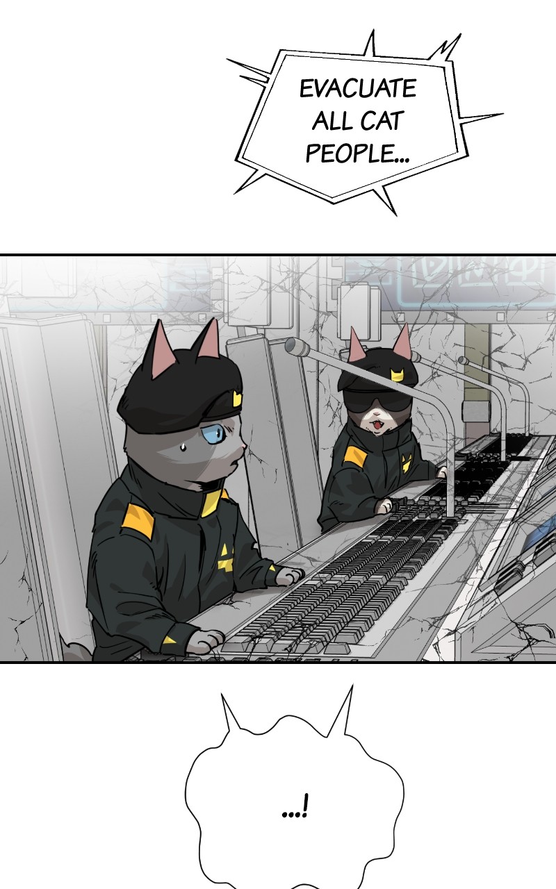 Meow Rangers - Chapter 77