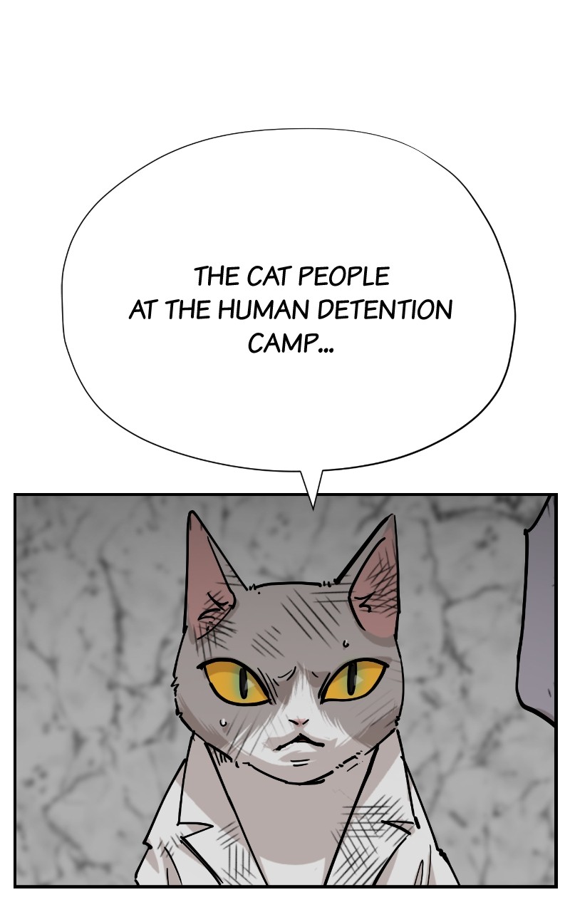 Meow Rangers - Chapter 77