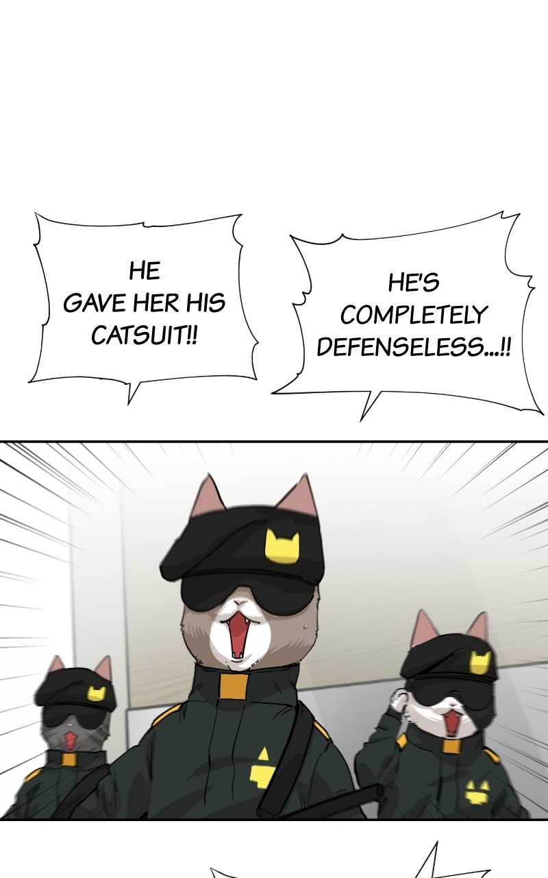 Meow Rangers - Chapter 68