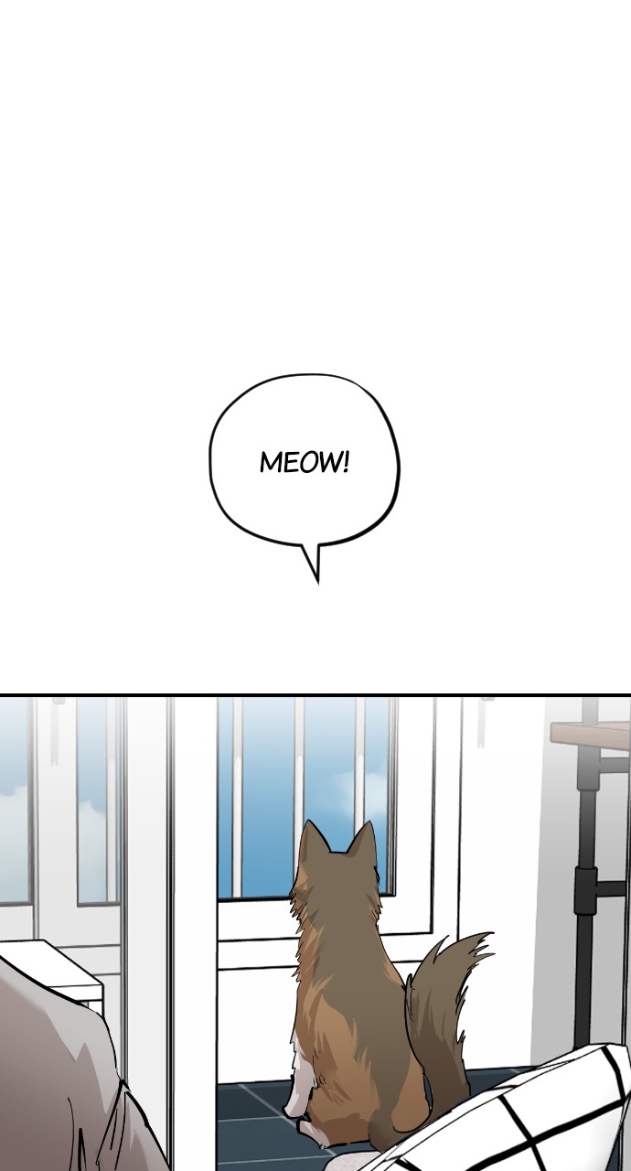 Meow Rangers - Chapter 56