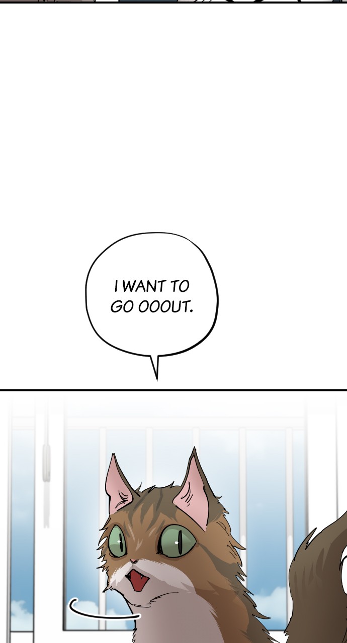 Meow Rangers - Chapter 56