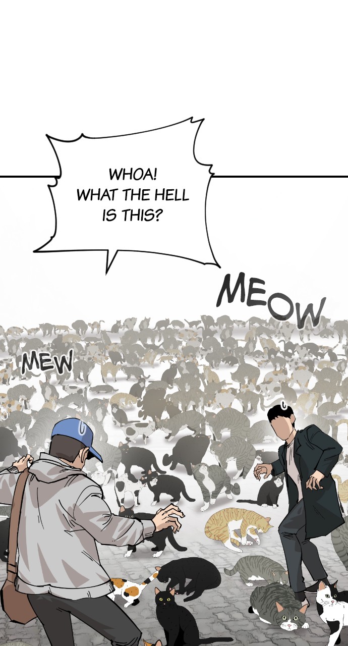 Meow Rangers - Chapter 56