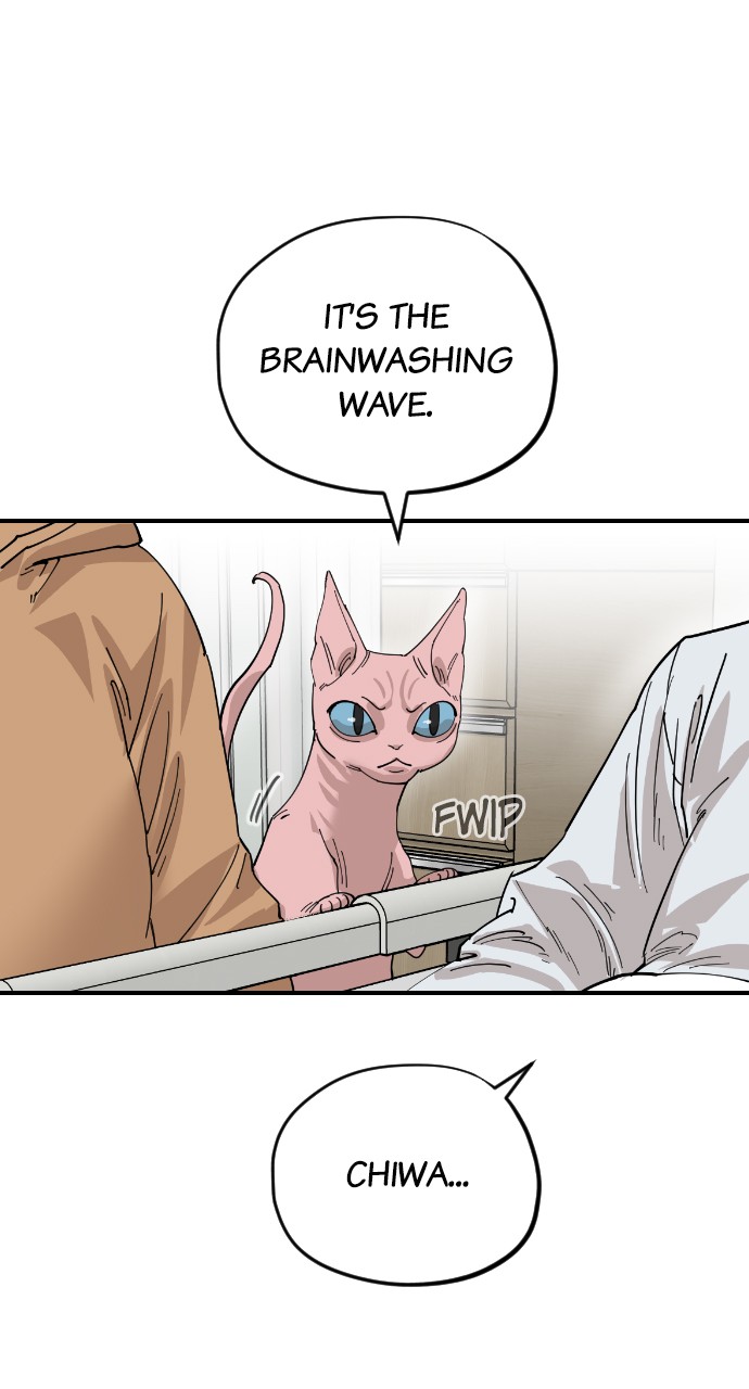 Meow Rangers - Chapter 56