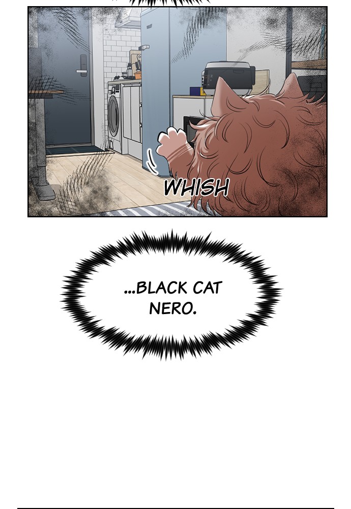 Meow Rangers - Chapter 13