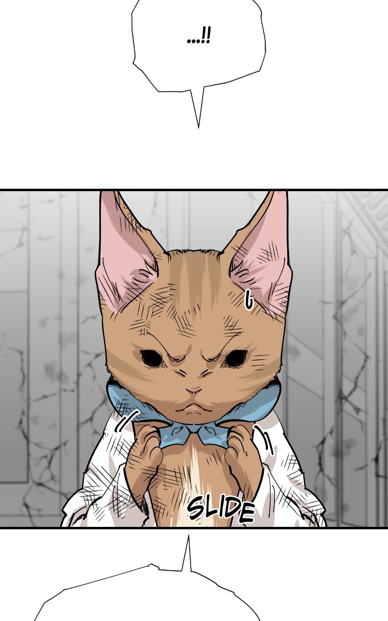 Meow Rangers - Chapter 73