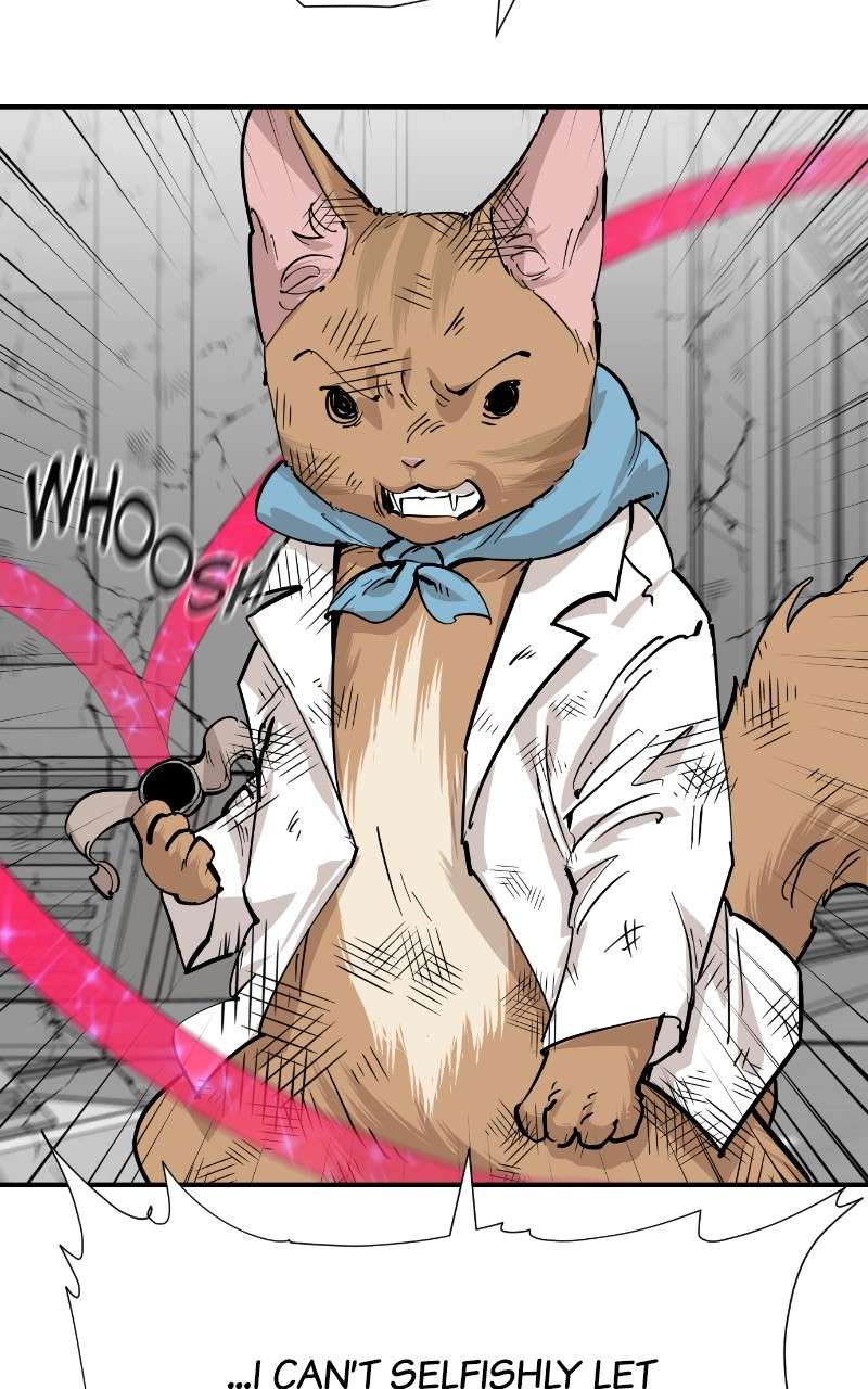 Meow Rangers - Chapter 73