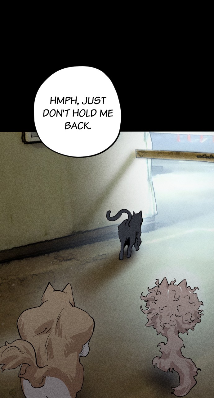 Meow Rangers - Chapter 49