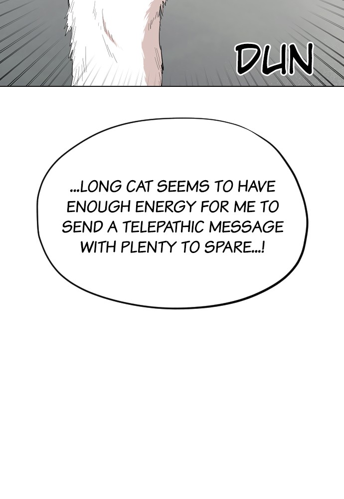 Meow Rangers - Chapter 25