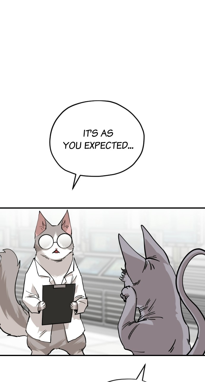 Meow Rangers - Chapter 61