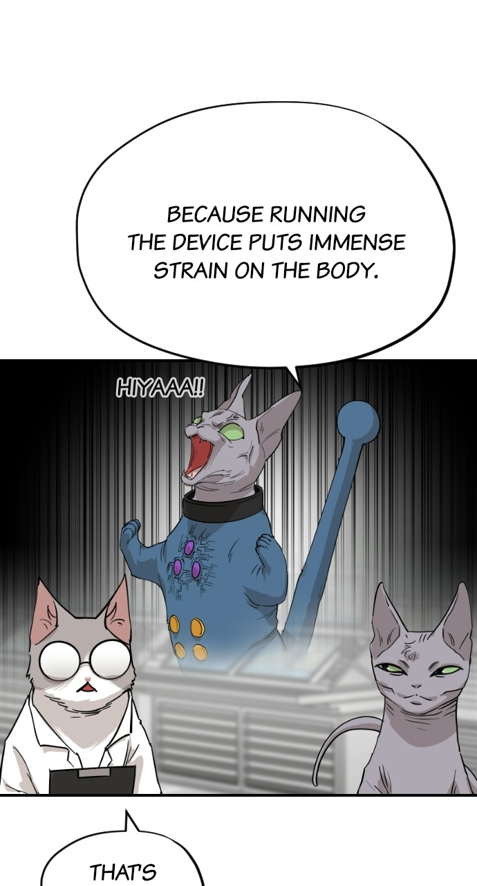 Meow Rangers - Chapter 61