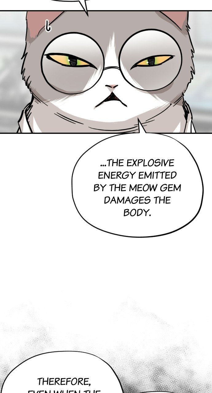 Meow Rangers - Chapter 61