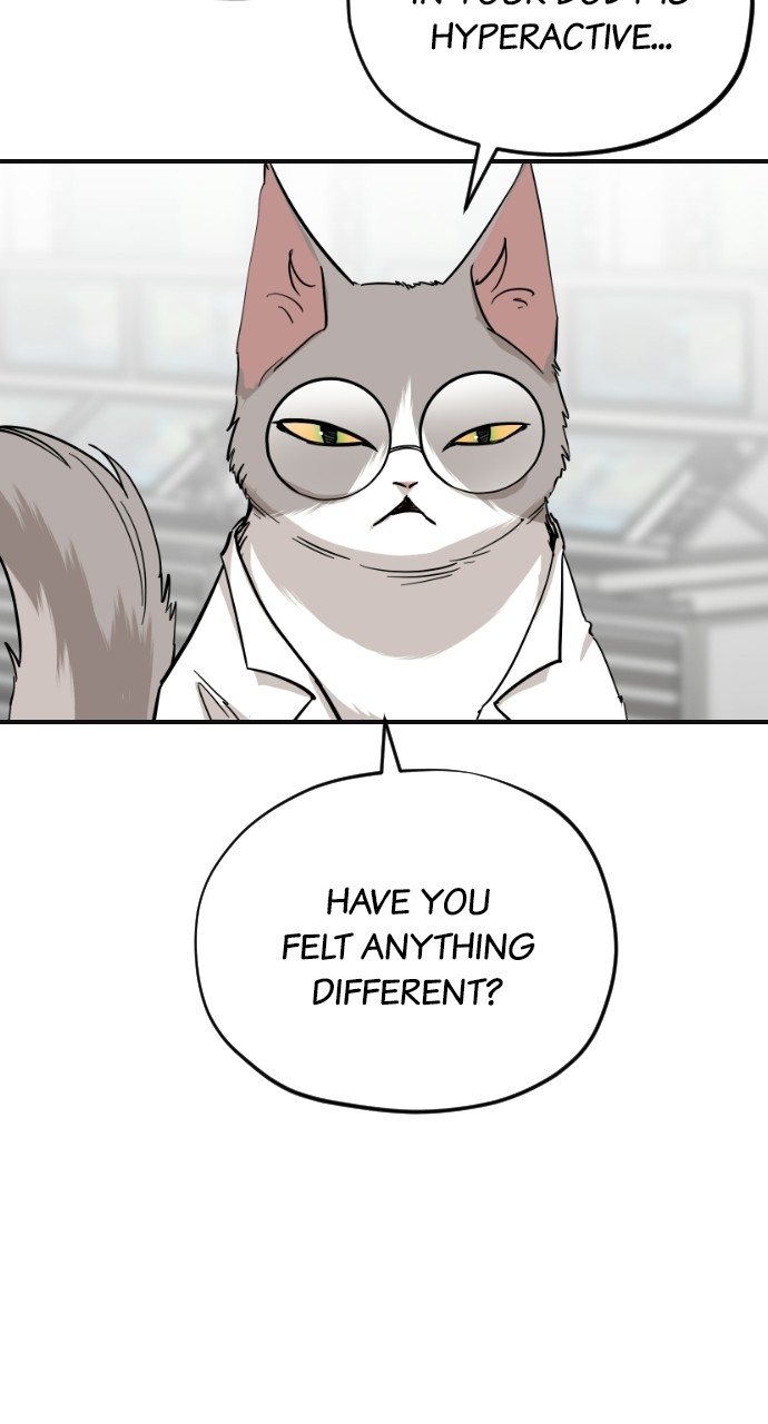 Meow Rangers - Chapter 61