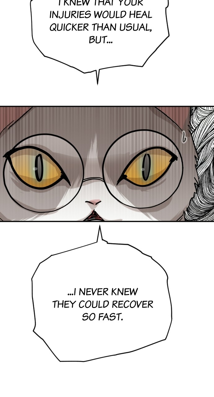 Meow Rangers - Chapter 61