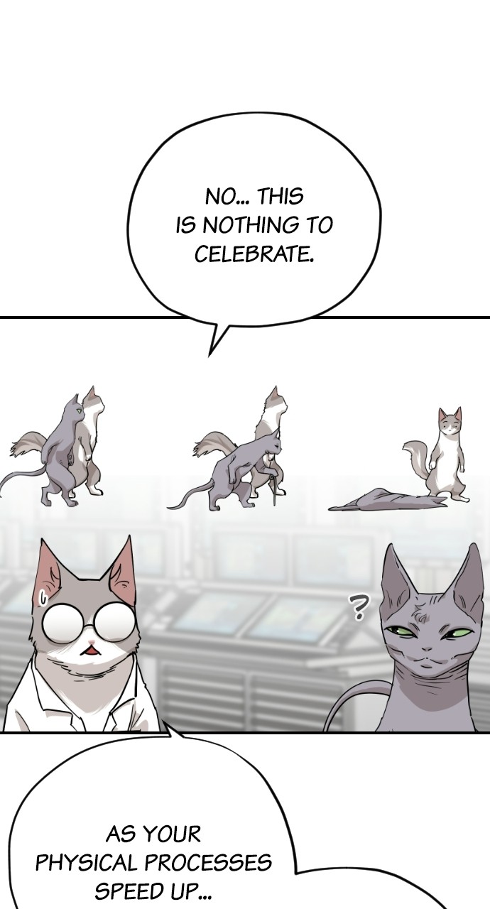 Meow Rangers - Chapter 61