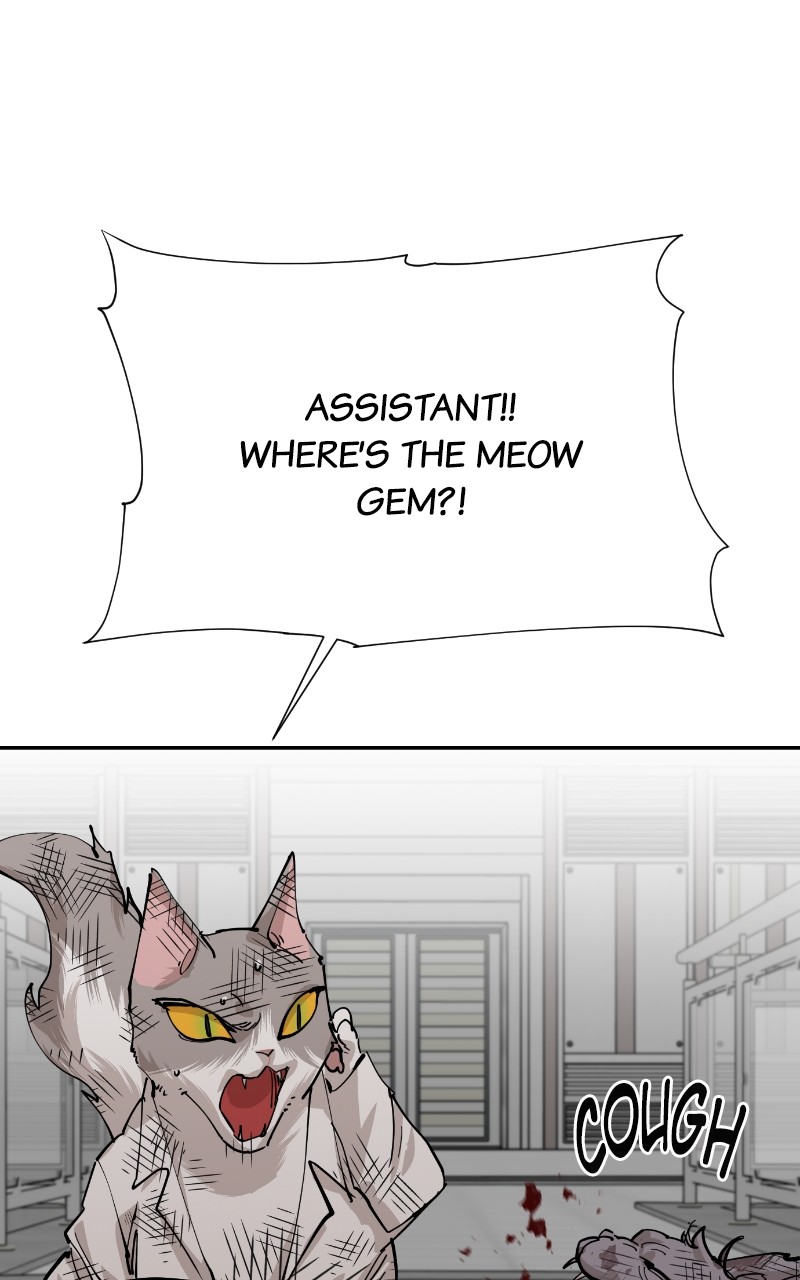 Meow Rangers - Chapter 72