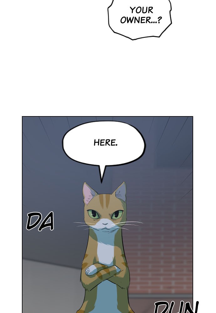 Meow Rangers - Chapter 9