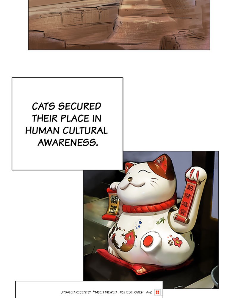 Meow Rangers - Chapter 3