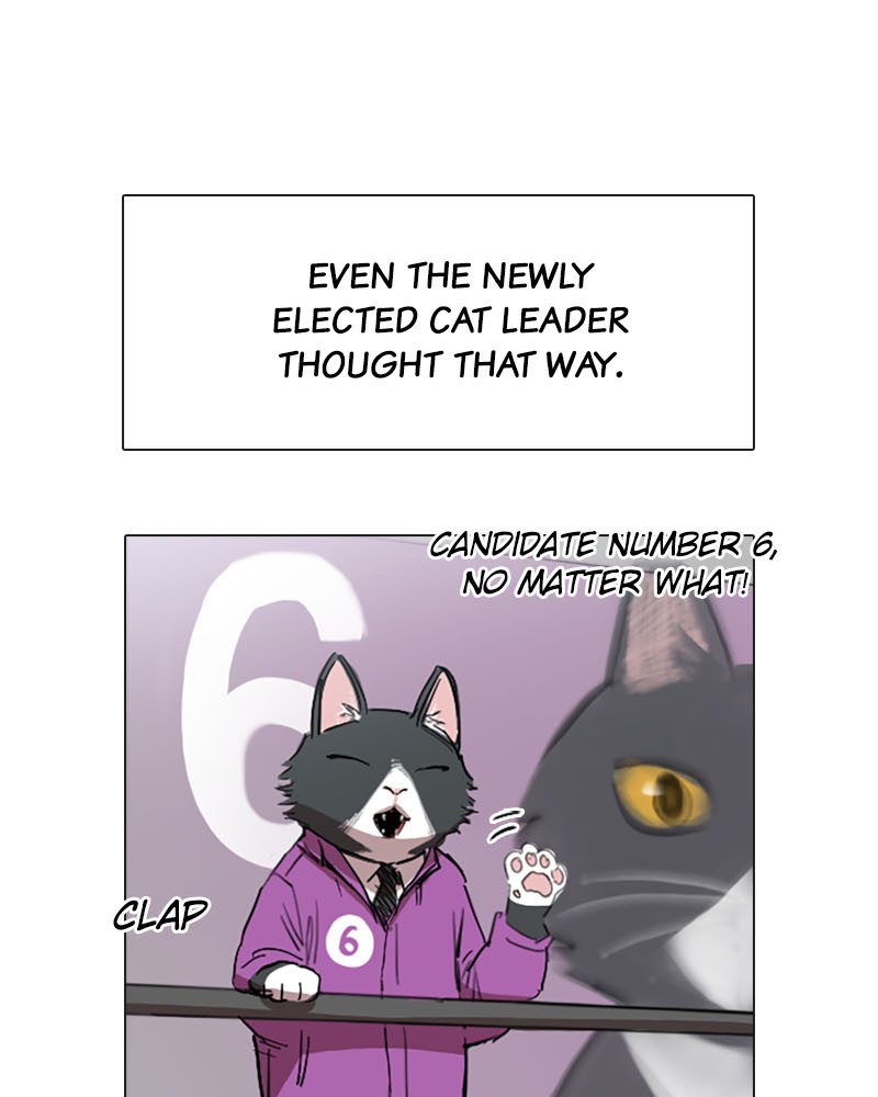 Meow Rangers - Chapter 3