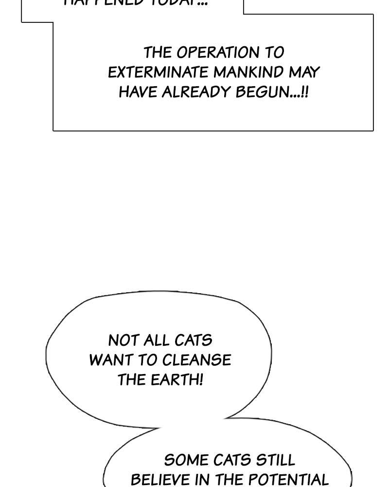 Meow Rangers - Chapter 3