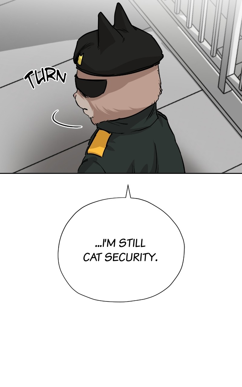 Meow Rangers - Chapter 69