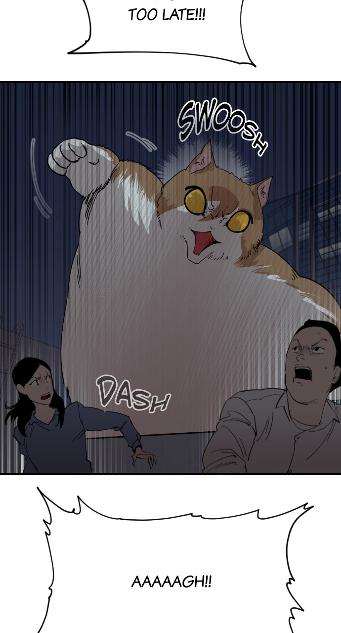 Meow Rangers - Chapter 52