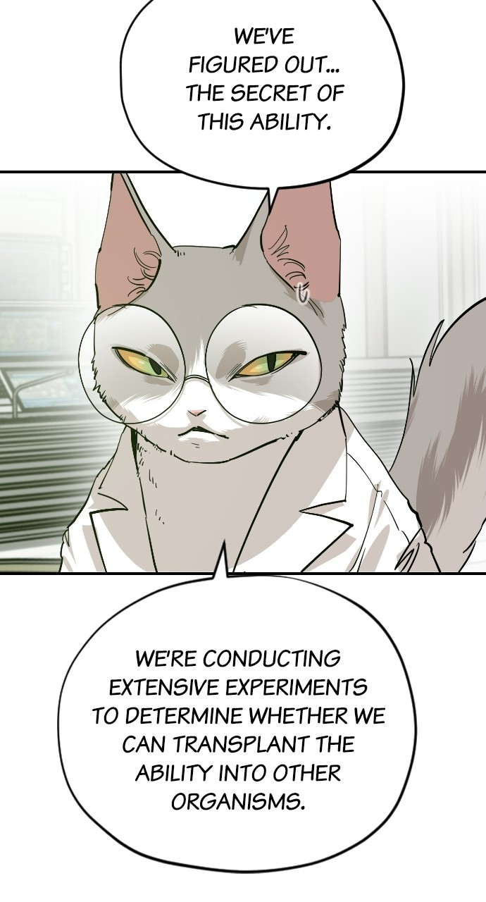 Meow Rangers - Chapter 65