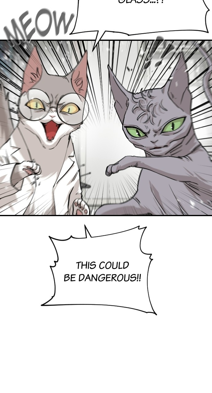 Meow Rangers - Chapter 65